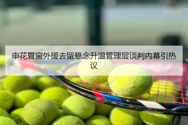 申花夏窗外援去留悬念升温管理层谈判内幕引热议